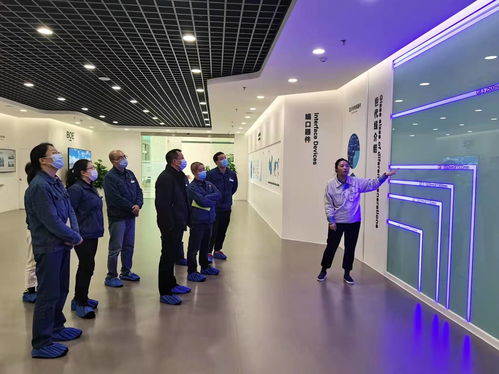 四川中烟绵阳卷烟厂与绵阳京东方光电科技公司开展党支部联建共创