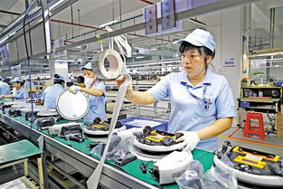 发现龙华之美 产业园区中科技的魅力无限